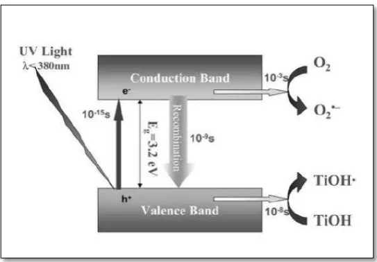 Figure 2.2: Band theory of mechanism of Photocatalysis (Nakaruk, 2010) 