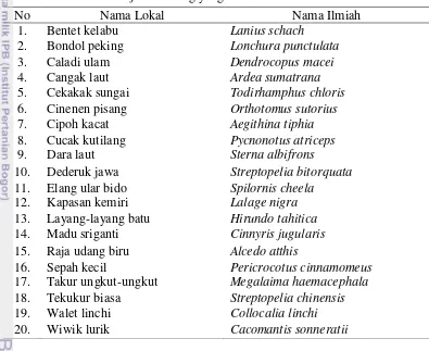 Tabel 8  Jenis-jenis burung yang ditemukan di Resort Balanan 