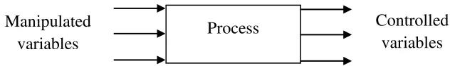 Figure 1.1: Process control variable (Singh, S.K, 2012) 