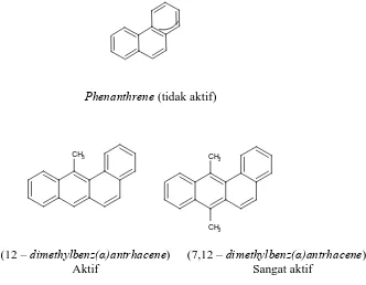 Gambar 2. Potensi Karsinogenik dari Polisiklik Aromatik Hidrokarbon 