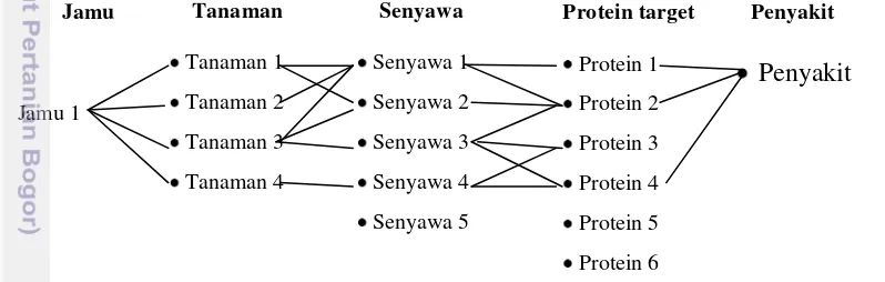 Gambar 1. Jejaring farmakologi jamu   