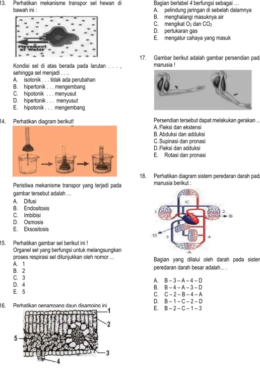 Gambar berikut adalah gambar persendian pada 