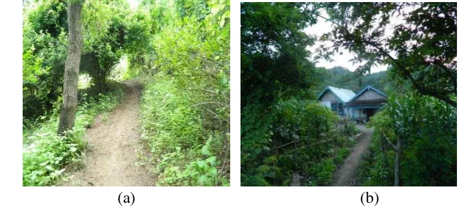 Gambar 7  Jalan setapak dan pemukiman: (a) jalan setapak di Blok Simacan;  (b) pemukiman masyarakat di Blok Simacan  