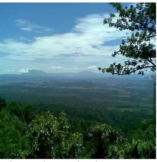 Gambar 4. Pemandangan Alam dari Posko