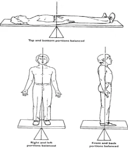 Gambar 2.1. Titik Keseimbangan Badan 