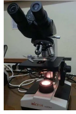 Gambar 6  Mikroskop untuk melihat dan menghitung bakteri 
