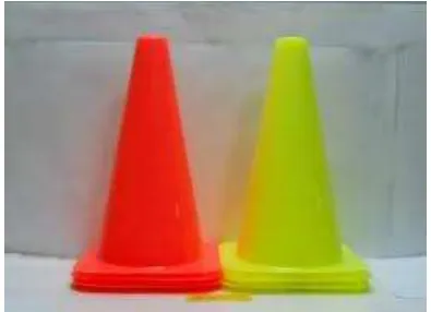 Gambar 2.3. Cones 