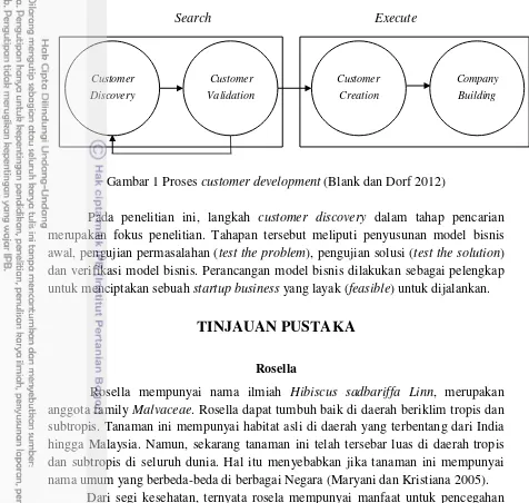 Gambar 1 Proses customer development (Blank dan Dorf 2012) 