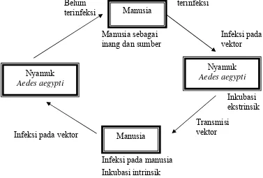 Gambar 2. 