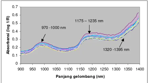 Gambar 7. Grafik absorbsi NIR pada beberapa sampel pepaya 