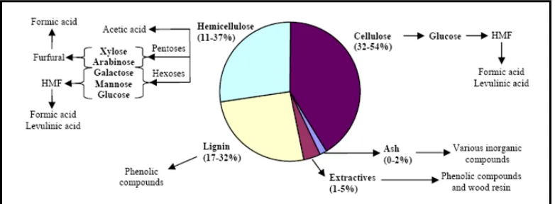 Fig. 1. Parts of Lignocellulosa and Product of Hydrolysis Result 