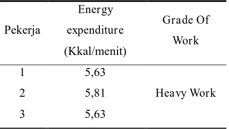 TABEL 8 HASIL ENERGY EXPENDITURE PEKERJA