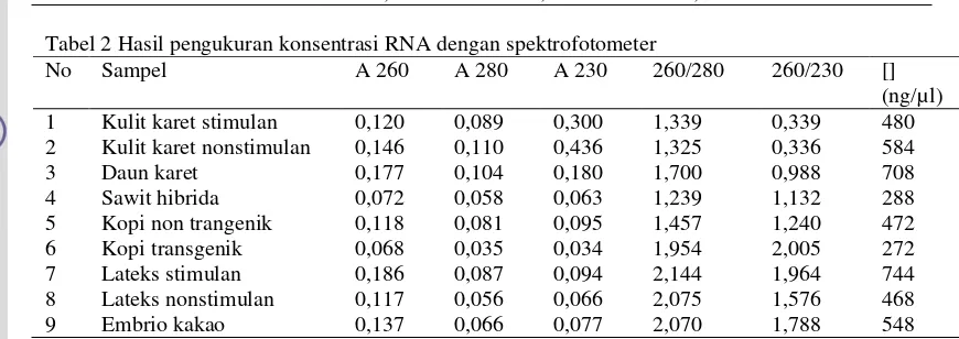 Tabel 2 Hasil pengukuran konsentrasi RNA dengan spektrofotometer