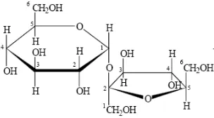 Gambar 1. Struktur molekul sukrosa 