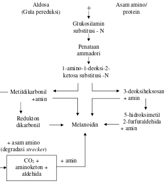 Gambar 5. Skema reaksi Maillard  