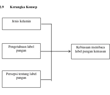 Gambar 2.1 Kerangka konsep 