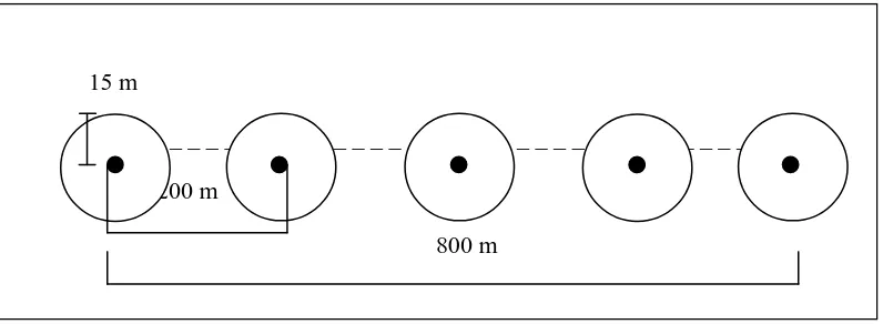 Gambar 3.5. Bentuk titik pengamatan dengan menggunakan metode Point Count. 