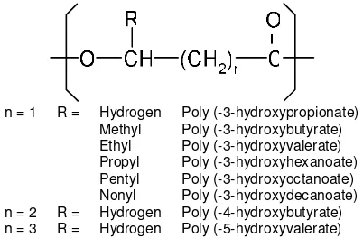Gambar 1. Struktur dasar poli-�-hidroksialkanoat (Ojumu et al., 2004) 