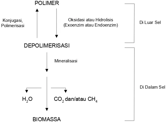 Gambar 6. Dogma dasar biodegradasi polimer (Kaplan et al. dalam Ching et 
