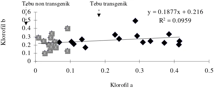 Gambar 3.  Regresi antara aktivitas fitase dan total klorofil plantlet tebu 