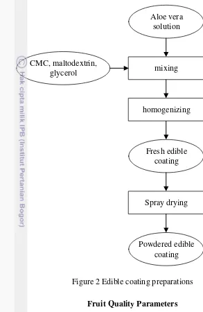 Figure 2 Edible coating preparations 