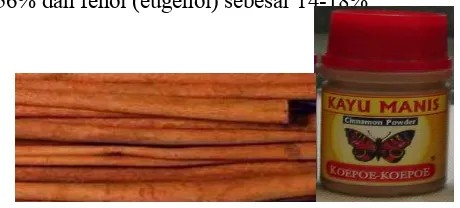 Gambar 2. Kayu manis (Cinnamon burmanii) bentuk pasar dan pabrik 