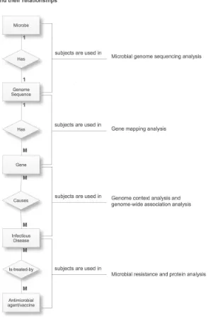 Fig. 1. The Relationship Between the Various Subjects of the Microbial Study and theAnalyses in the Microbial Study Pathway