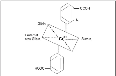Gambar 1  Struktur Faktor Toleransi Glucosa  (Linder 1992). 