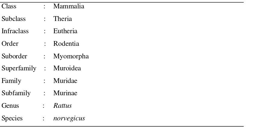 Tabel 1  Klasifikasi taksonomi tikus: 