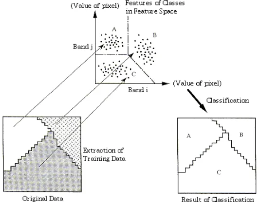 Gambar 5  Konsep klasifikasi pada data remote sensing (Gabriel 2005).   