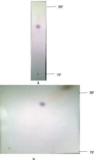 Gambar 4:Gambar kromatogram KLT satuarahdanduaarah 