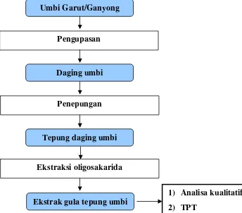 Gambar 3. Diagram alir proses ekstraksi oligosakarida umbi garut dan umbi ganyong 