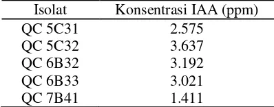 Tabel 1 Konsentrasi IAA yang dihasilkan isolat terpilih 