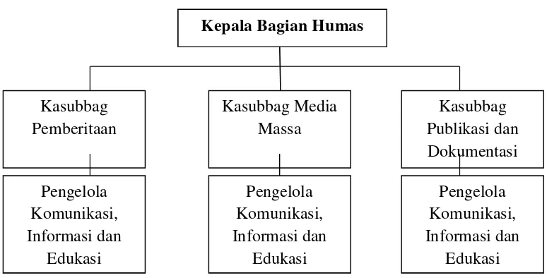 Gambar 3.4 Struktur Organisasi Humas Badan POM
