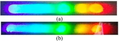Gambar 1.  Spektrum warna (a) lampu neon spiral 20 W dan (b) lampu neon esensial 18 W (Armynah dkk,  2013)