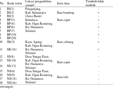 Tabel 1  Hasil peremajaan 18 isolat asal bekasam koleksi Desniar (2012) 