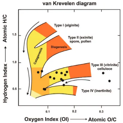 Fig. 5 Samples distribution of visual kerogen analyses and most samples fall in dry-gas, almost up 70%10).