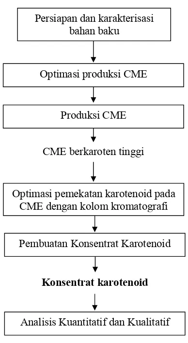 Gambar 6.   Diagram alir penelitian optimasi pemekatan karotenoid dari 
