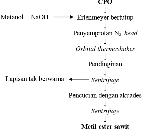 Gambar 8. Proses produksi metil ester (Ooi et al., 1994) 
