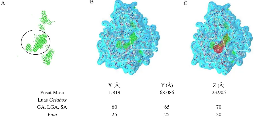 Gambar 2. Penentuan gridbox metode vina, LGA, GA, SA. Warna hijau menunjukkan binding poket yang tersedia, biru menunjukkan protein, merah menunjukkan ligan