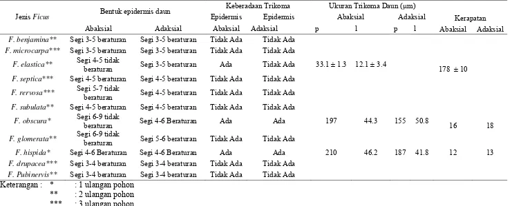 Tabel 3 Karakter dinding sel epidermis, dan ukuran trikoma daun.  