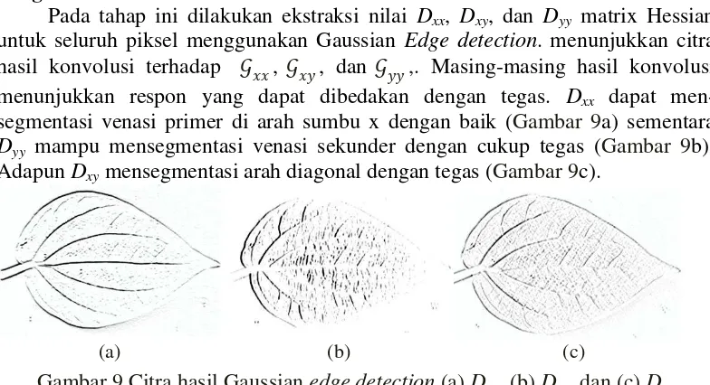 Gambar 9 Citra hasil Gaussian edge detection (a) Dxx, (b) Dyy, dan (c) Dxy 