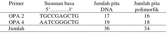 Gambar 5 Pola-pola pita 13 sampel ikan sumatra hasil RAPD mengunakan primer  OPA 4; lajur 1 marker 1 kb plus, lajur 2-6 =K2N ; lajur 7-11 = mitogen; lajur 12-14 = klon