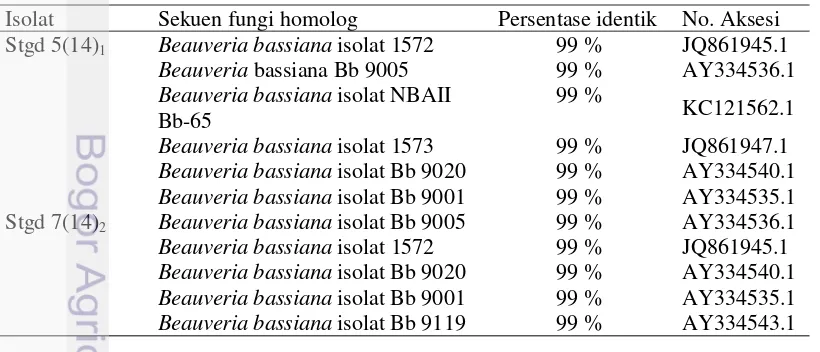 Tabel 2 lanjutan Hasil identifikasi isolat STGD 7(14) Beauveria bassiana isolat Bb 9020 2  