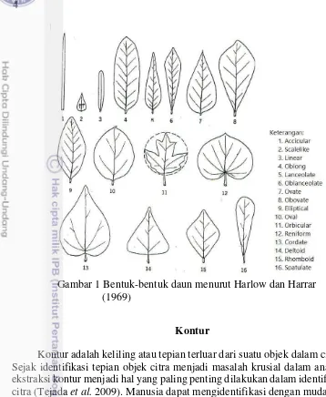 Gambar 1 Bentuk-bentuk daun menurut Harlow dan Harrar 
