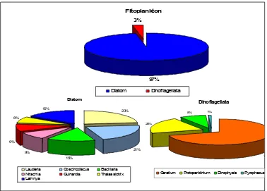 Gambar 14  Kelimpahan fitoplankton di Perairan Berau tahun 2006 