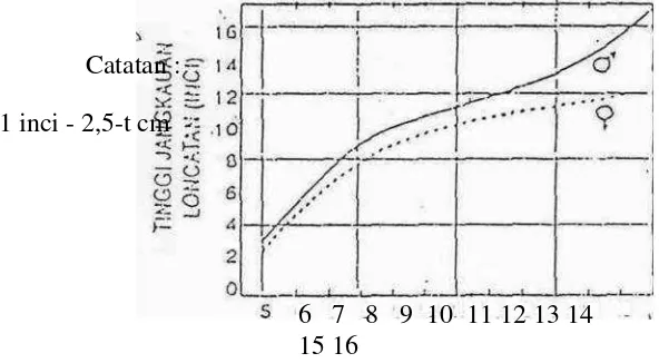 Gambar 1. Perkembangan kemampuan loncat tegak padausia5-17tahun(Espenchadedan Esert, dalamsugiyanto,2001:120)Dalam gambar di atas dapat terlihat bahwa perkembangan