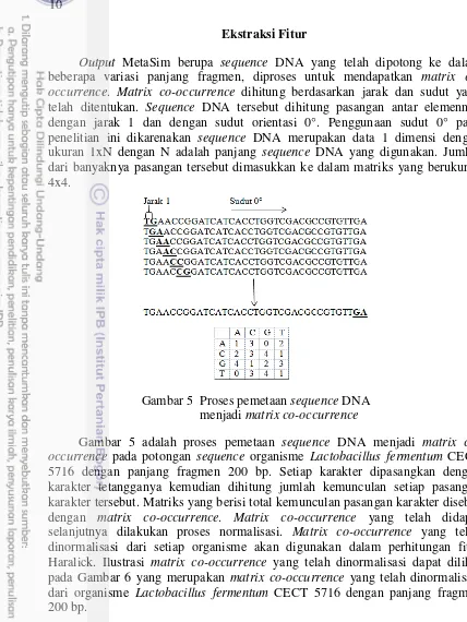 Gambar 5  Proses pemetaan sequence DNA 