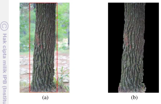 Gambar 8  (a)  Pada Gambar 8 (a) dan (b) terlihat bahwa setiap Cluster pixel pada kelas background , (b) pixelCluster pixel yang berada pada   pada kelas 