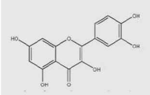 Gambar 1. Quercetin 